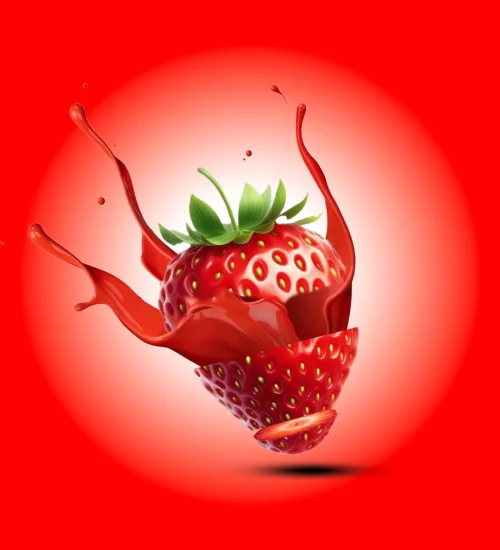 Digital Marketing Expert in Manjeri, Malappuram